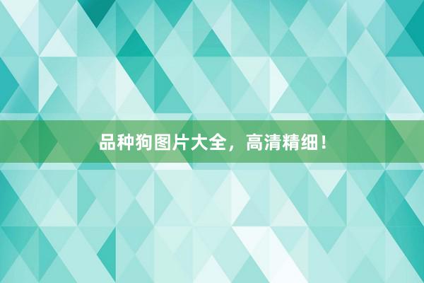 品种狗图片大全,高清精细!